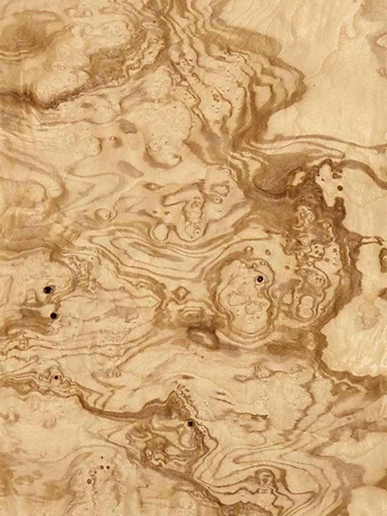 Ash Olive Burl veneer